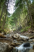Mara Creek 1