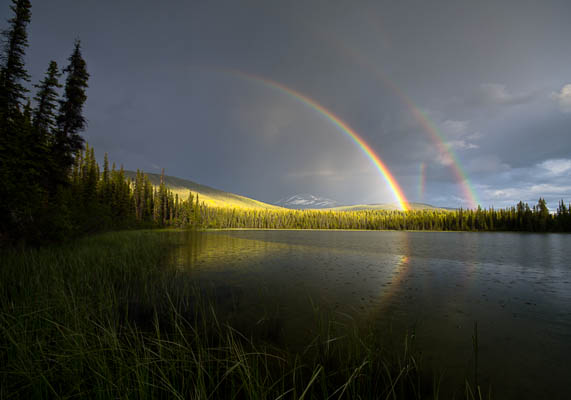 photo: Double Rainbow Plus