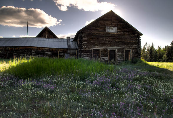 photo: Robinson Roadhouse Summer